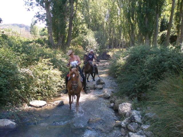 Caballos por el río